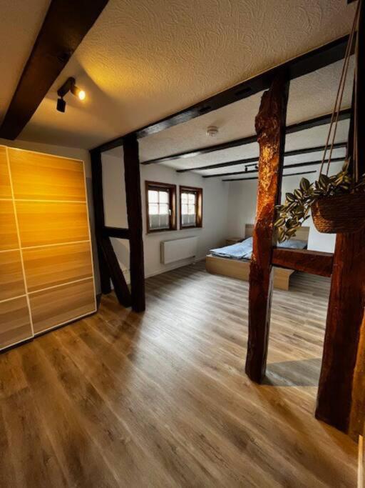 Apartament Levis Loft Fritzlar-Ungedanken Zewnętrze zdjęcie